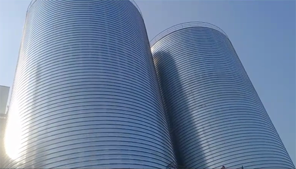 堆龙德庆2座混凝土高架卷板仓